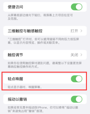 上海苹果授权维修站分享iPhone轻点无法唤醒怎么办 