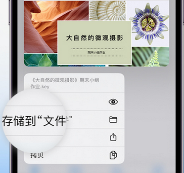 上海apple维修中心分享iPhone文件应用中存储和找到下载文件