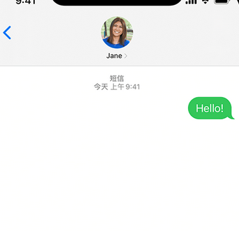 上海apple维修iPhone上无法正常发送iMessage信息