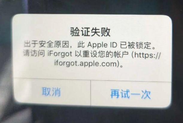 上海iPhone维修分享iPhone上正常登录或使用AppleID怎么办 