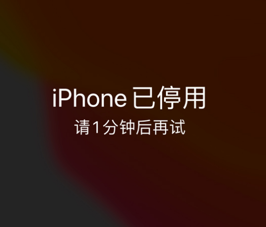 上海苹果手机维修分享:iPhone 显示“不可用”或“已停用”怎么办？还能保留数据吗？ 