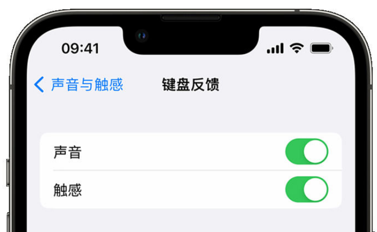 上海苹果手机维修分享iPhone 14触感键盘使用方法 