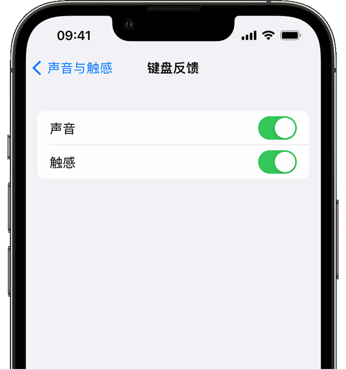 上海苹果14维修店分享如何在 iPhone 14 机型中使用触感键盘 