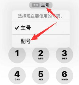 上海苹果14维修店分享iPhone 14 Pro Max使用副卡打电话的方法 