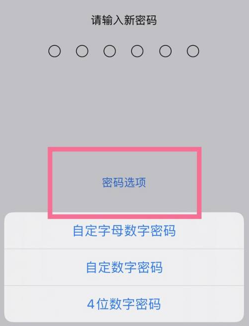 上海苹果14维修分享iPhone 14plus设置密码的方法 