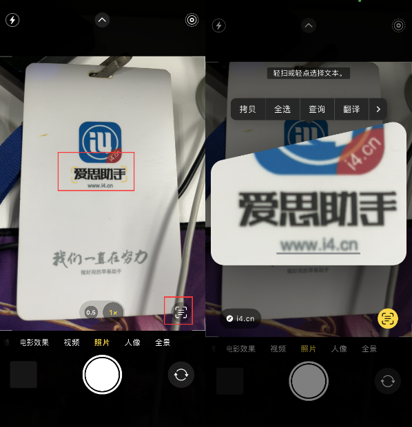 上海苹果手机维修分享升级iOS 16后如何通过相机翻译文本 