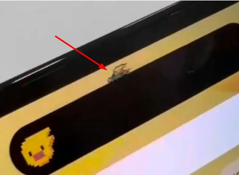 上海苹果14维修分享iPhone 14 Pro Max灵动岛怎么养宠物 