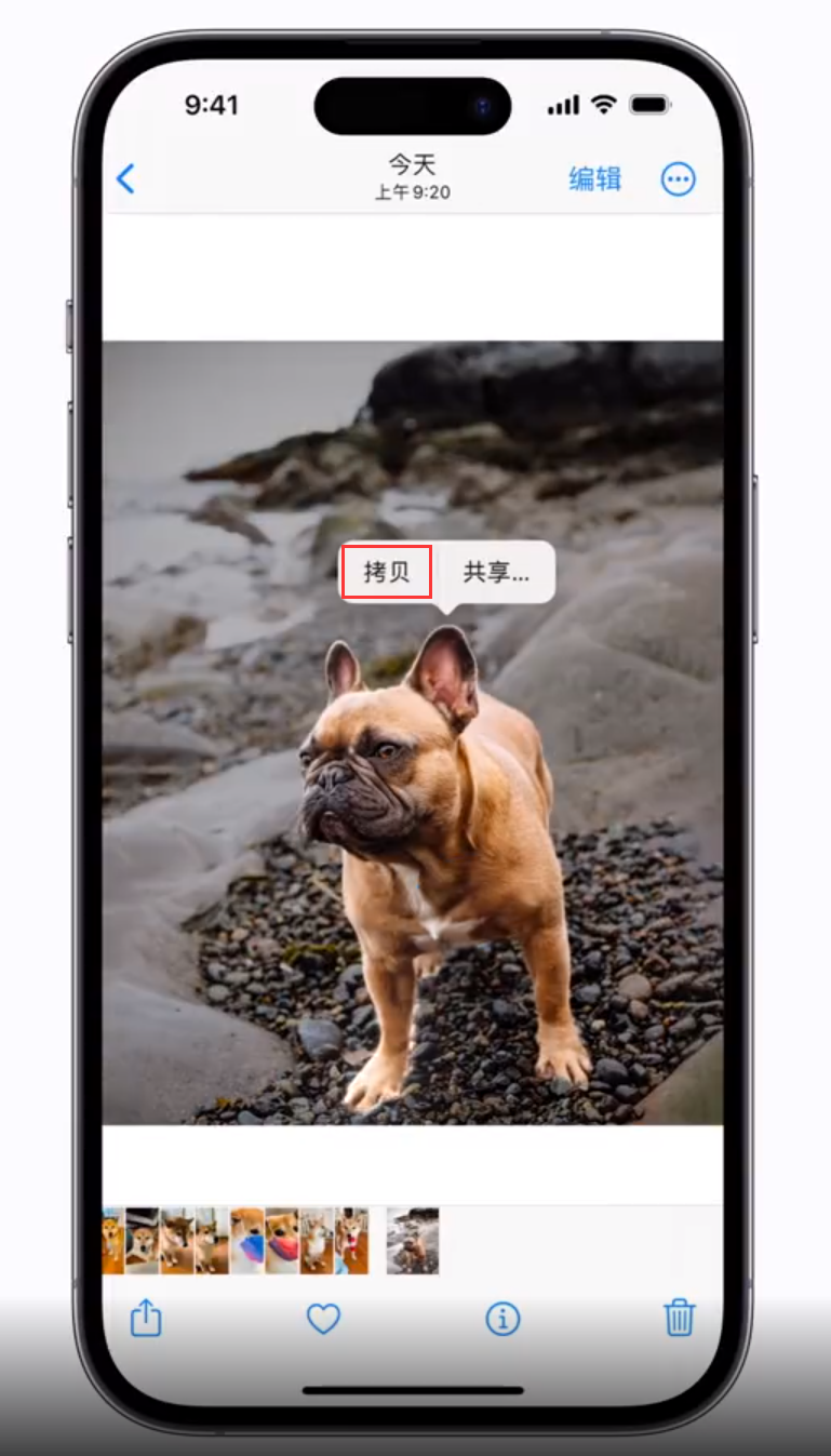 上海苹果手机维修分享 iOS 16 自带一键抠图功能 