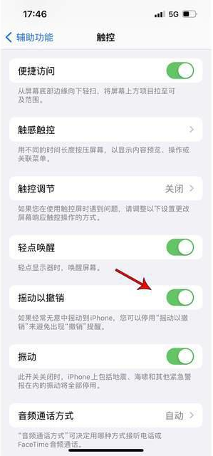 上海苹果手机维修分享iPhone手机如何设置摇一摇删除文字 