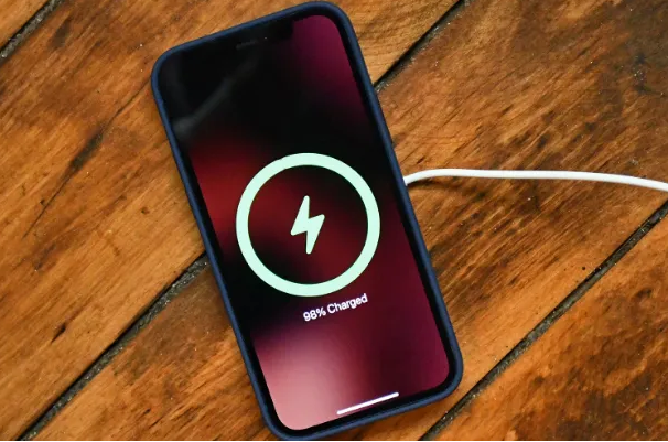 上海苹果手机维修分享iPhone如何正确充电 