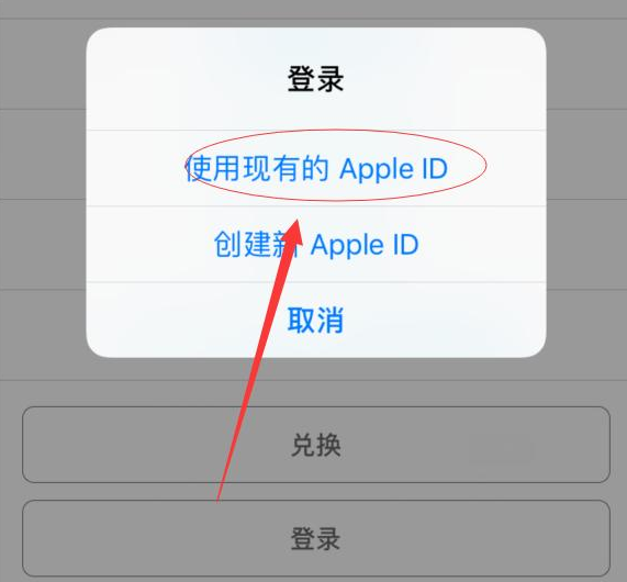 上海苹果手机维修分享两台iPhone设备可以同时登录一个Apple ID吗 