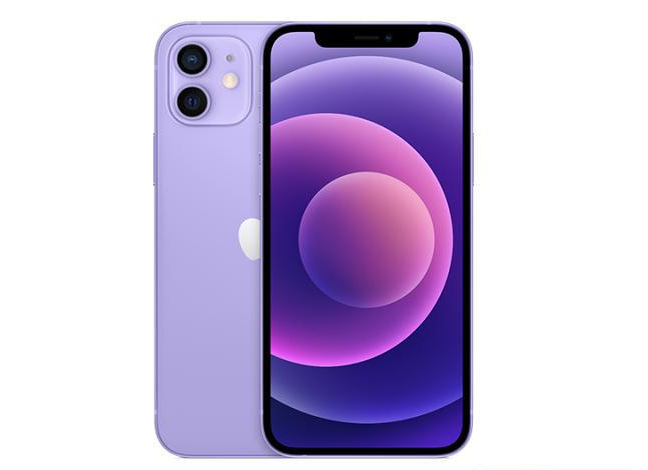 上海苹果手机维修分享现阶段要不要入手紫色版iPhone12 