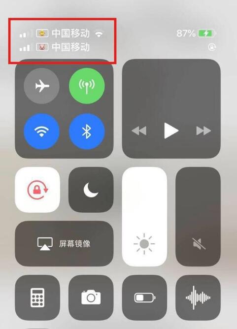 上海苹果手机维修分享为 iPhone 12 双卡设置标签 
