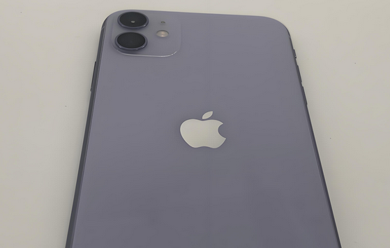 上海苹果11系统维修分享iPhone11手机系统崩溃无法开机如何解决 
